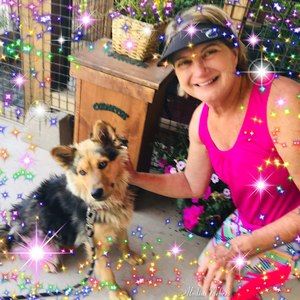 Meet your Posher, Carolyn